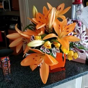 Meet your Posher, Latoshe